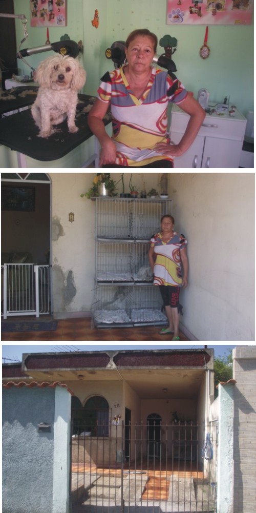 Caça ao tesouro: dirigentes partidários loucos atrás de candidatos – Vale tudo, até inventar “mentirinhas” de concurso pra pescar candidata – “Causo” surreal de manipulação do PSDB pet shop geral